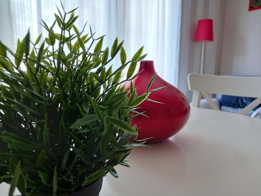 Apartamento Tranquilo Cerca De Zonas Verdes Cieza Exterior foto